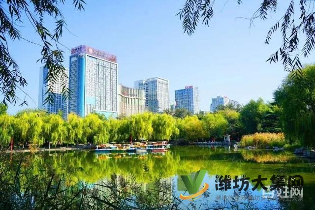 阳光一百