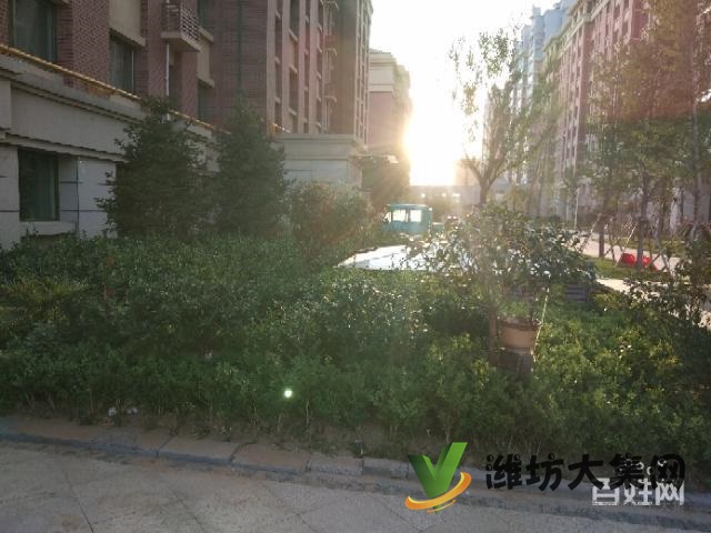 水木菁华黄金观景洋房3999一平包更名急售