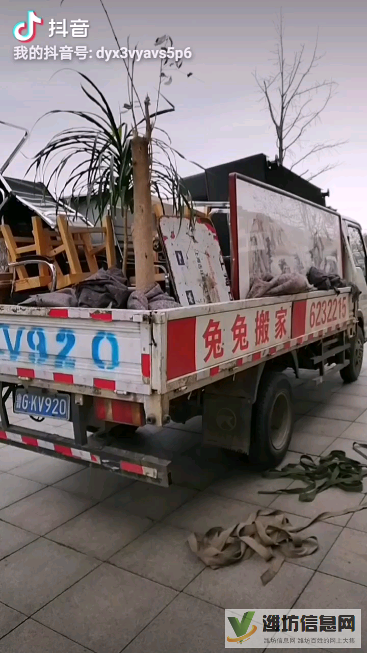 昌乐兔兔搬家6232215