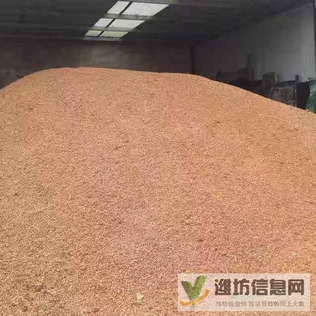 干净山楂核出售